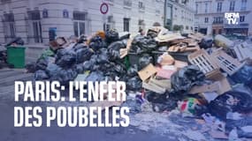 Paris: l'enfer des poubelles