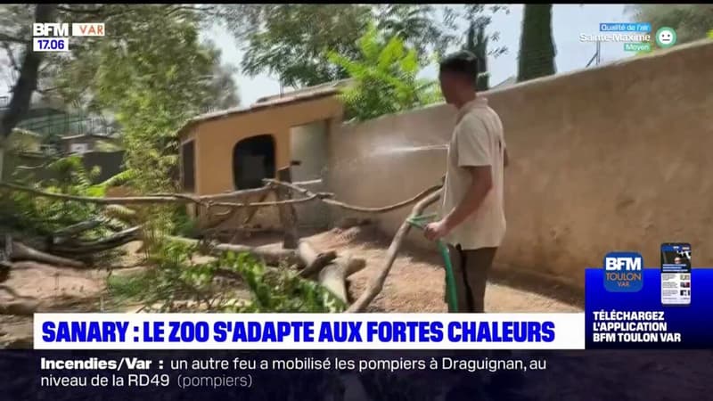 Fortes chaleurs à Sanary-sur-Mer: le zoo s'adapte pour les animaux 