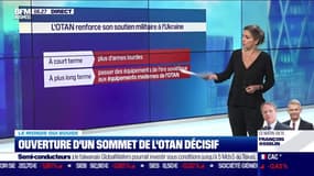 Delphine Liou : Ouverture d'un sommet de l'Otan décisif - 28/06