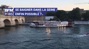 Se baigner dans la Seine : bientôt possible ?