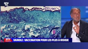 Story 2 : Plus de 700 cas de variole du singe en France - 08/07