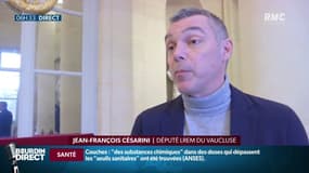  Loi "anti-casseurs": "Ce n'est pas à l’exécutif de rendre la justice" s'inquiète Jean-François Césarini, député LREM
