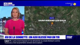 Saint-Amand-les-Eaux: un adolescent de 15 ans blessé à la tête par un homme armé d'une carabine à plomb