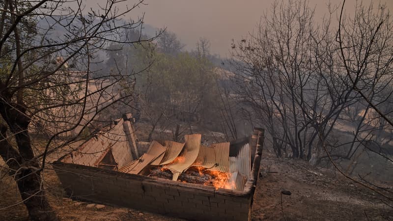 L'Algérie est en proie à des incendies qui dévastent plusieurs régions du pays (photo d'illustration)