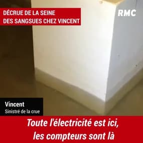 Invitées surprise après la crue: les sangsues !