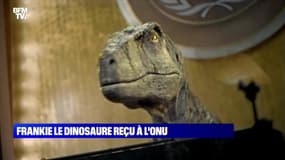 Frankie le dinosaure reçu à l'ONU - 29/10