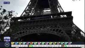 Des rats aux pieds de la Tour Eiffel ! L'attraction devenue quotidienne au Champs de Mars