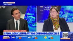 Salon de l'agriculture: la vitrine du monde agricole? 
