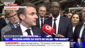 Agriculture: ce que propose le Rassemblement national "est un projet d'appauvrissement du pays", affirme Emmanuel Macron