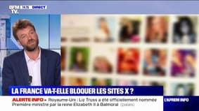 Les sites pornographiques vont-ils être bloqués en France?