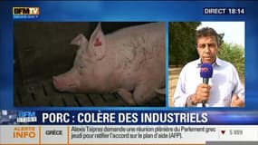 "Dans deux ans, trois ans, il n'y aura plus de filière porcine en France"