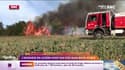 Incendie en Lozère et en Aveyron : le point sur la situation