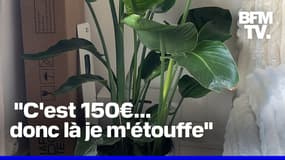 Salomé, journaliste à BFMTV a reçu 150 euros d'amende pour avoir transporté une plante dans le métro 