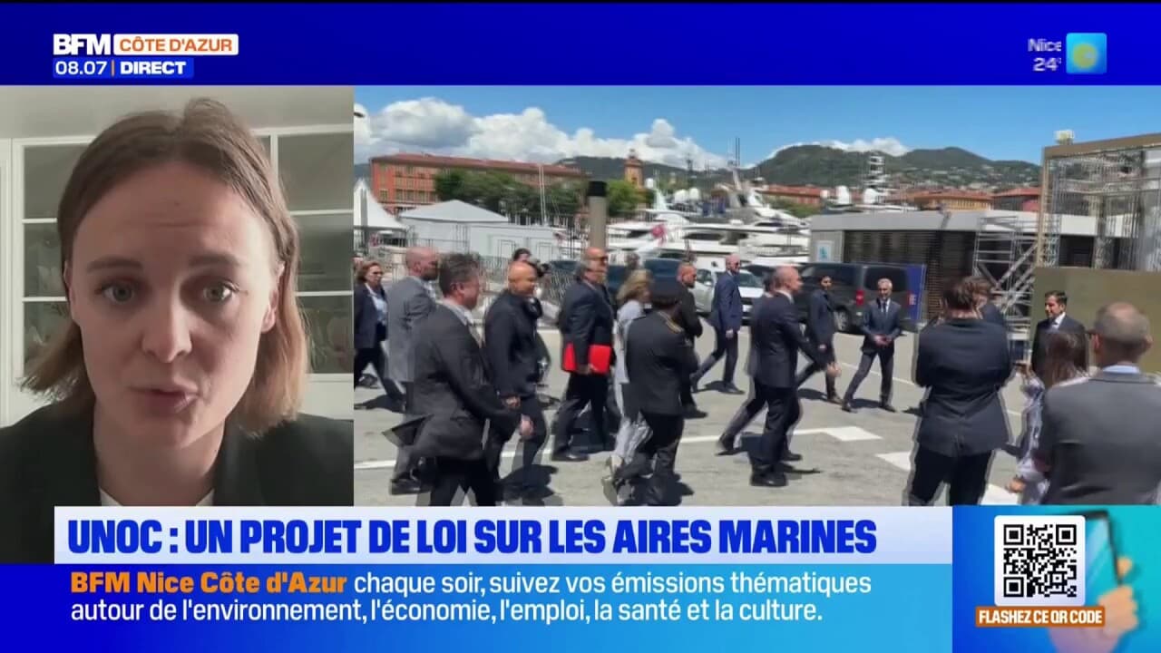 Unoc à nice: une proposition de loi pour protéger les écosystèmes marins