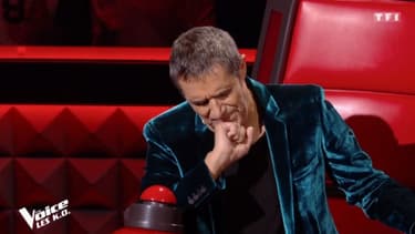 Julien Clerc dans The Voice