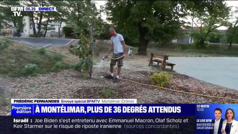 Canicule dans la Drôme: les jardiniers s'adaptent à la chaleur à Montélimar en travaillant dès six heures du matin