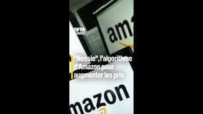 "Projet Nessie" : l'algorithme secret d'Amazon pour augmenter les prix