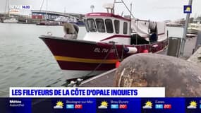 Côte d'Opale: l'inquiétude des fileyeurs de Boulogne-sur-Mer et Dunkerque