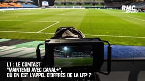 L1 : Le contact "maintenu avec Canal+", où en est l'appel d'offres de la LFP ?