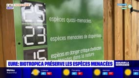 Eure: Biotropica préserve les espèces menacées