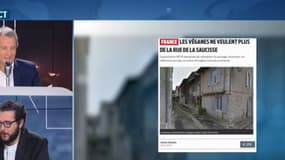 En Dordogne,des végans veulent renommer la rue de la Saucisse
