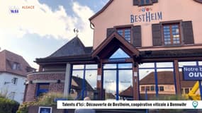 Talents d'ici : découverte de Bestheim, coopérative viticole à Bennwihr