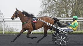 Face Time Bourbon vient de remporter le Prix d'Amérique pour la deuxième année consécutive