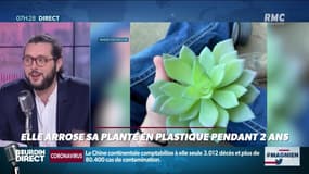 Elle avoue avoir arrosé pendant deux ans sa plante...en plastique ! 