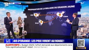 Pourquoi les prix du jus d'orange augmentent? BFMTV répond à vos questions