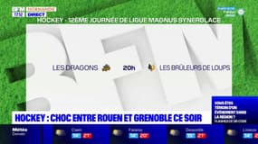 Hockey: Rouen affronte Grenoble ce vendredi soir