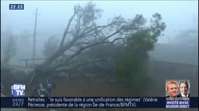 L'ouragan Michael et ses rafales à 250 km/h frappent les côtes de la Floride