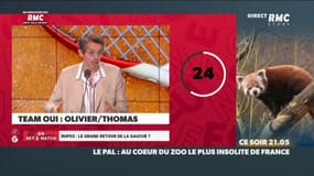 La NUPES, le grand retour de la gauche ? L'argumentaire de Thomas Porcher, team OUI : "C'est un vrai programme de gauche !"