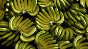 110 millions de tonnes de bananes ont été récoltées en 2012.