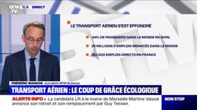 Crise sanitaire, enjeux écologiques: le transport aérien a-t-il encore un avenir? 