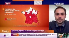 Cohen : "Le moustique-tigre se reproduit sur les petits points d'eau stagnante"