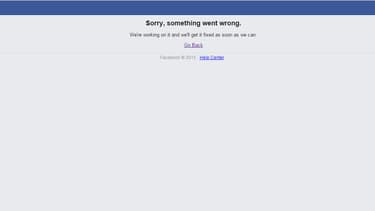 Le message d'erreur "sorry, something went wrong" s'affichait lundi soir pour de nombreux utilisateurs tentant d'accéder au réseau social.