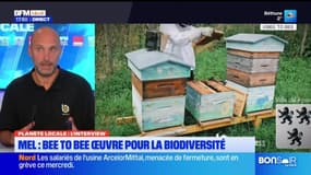 Planète Locale du mercredi 20 novembre - MEL : les ruches d'entreprise de Bee To Bee