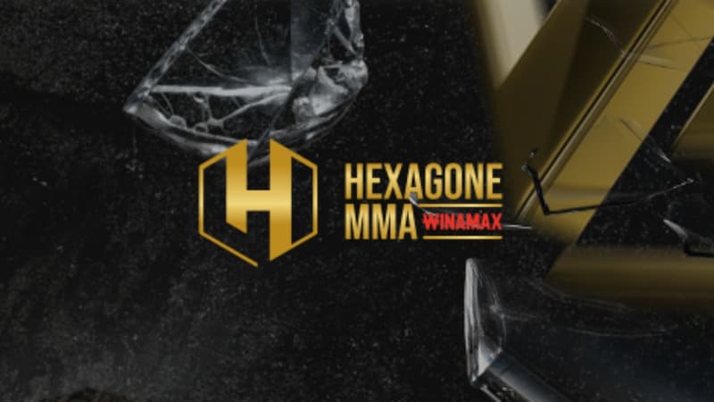 Novenyi - Giordanengo : sur quelle chaîne et à quelle heure regarder le combat de l'Hexagone MMA en direct ?