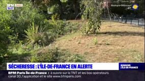 Essonne: la vallée de l'Orge en alerte sécheresse