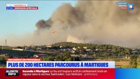 Incendie à Martigues: 973 pompiers déployés, le feu "pas encore maîtrisé"