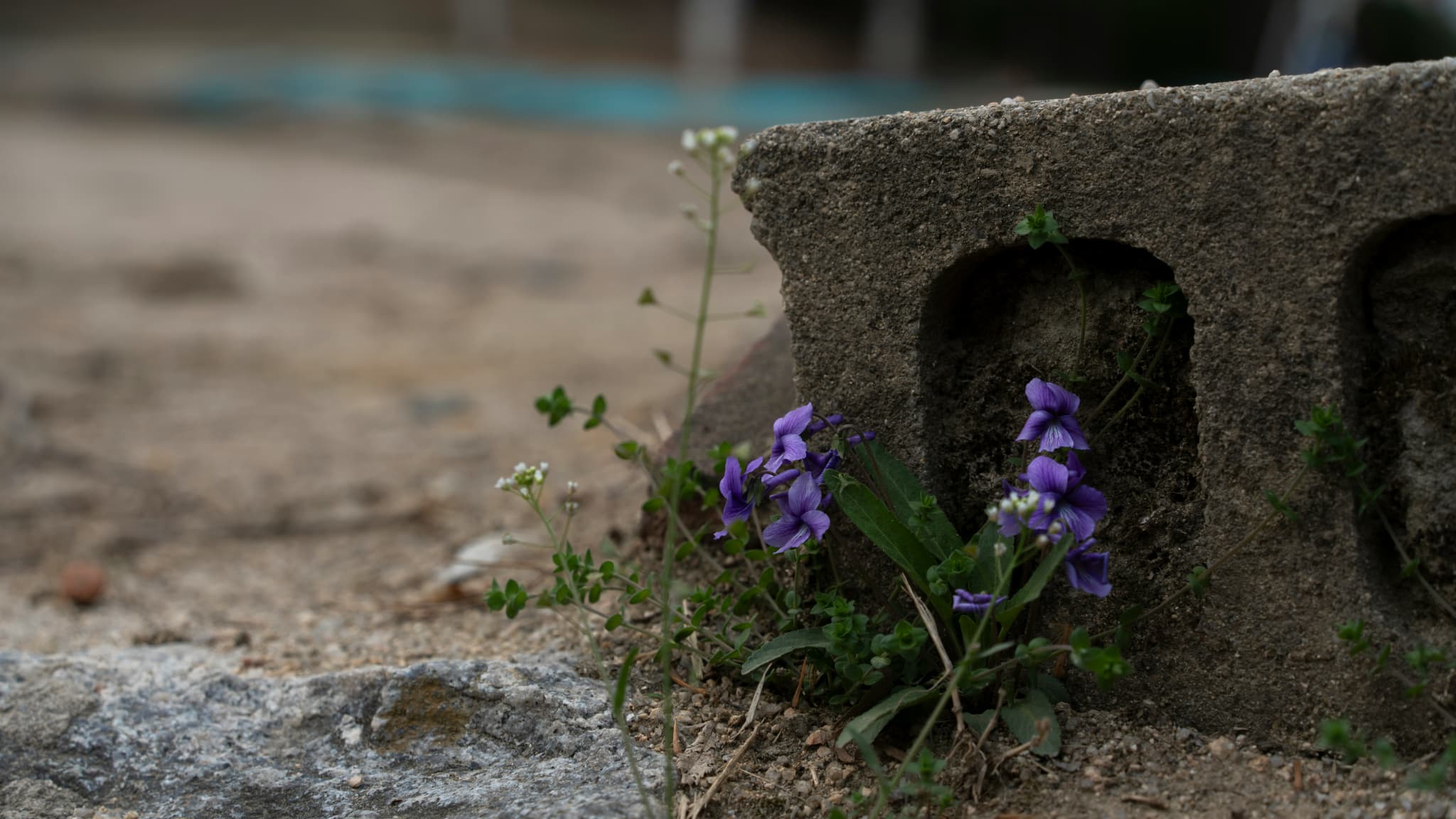 Woman’s Toes Crushed by Abandoned Concrete Block in Marseille: Who’s at Fault?