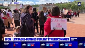Lyon : les sages-femmes veulent être reconnues