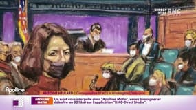 Affaire Jeffrey Epstein : Ghislaine Maxwell reconnue coupable d'une série de crimes sexuels