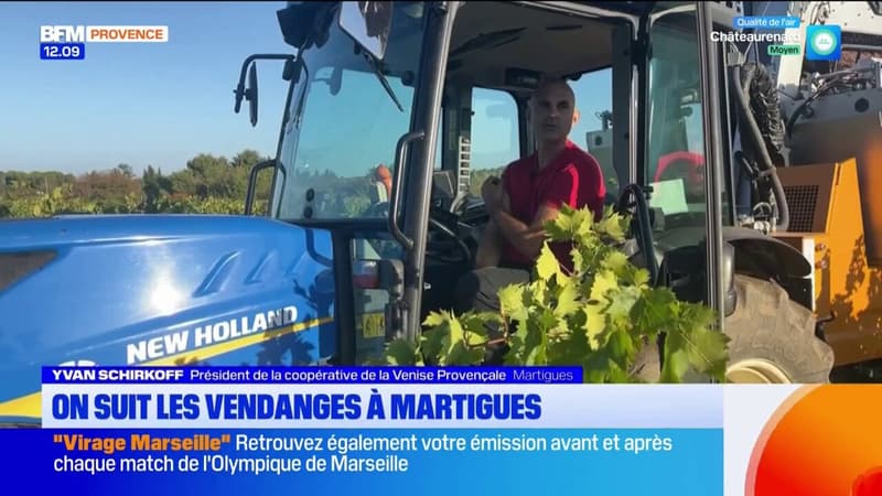 Martigues: la côte bleue en plein dans les vendanges