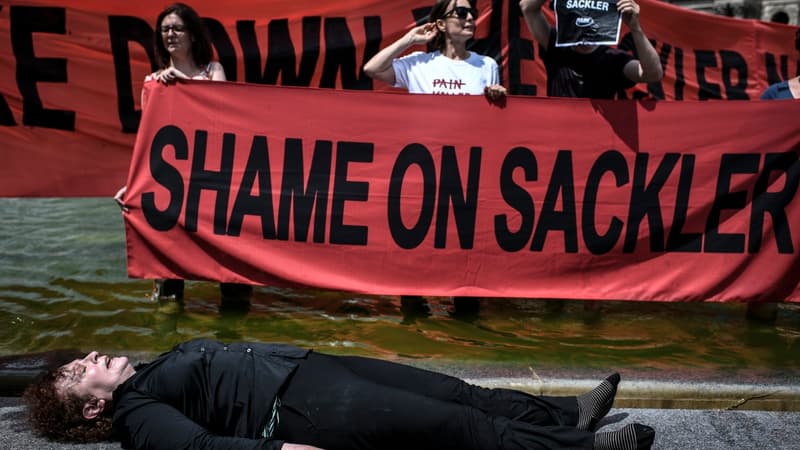 Une trentaine de manifestants ont protesté contre les Sackler au Louvre