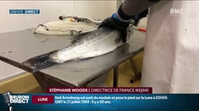 La technique de l'Ikejime entraînerait moins de stresse et de douleur pour le poisson
