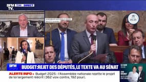 Story 3 : Budget 2025, rejet des députés, le texte va au Sénat - 12/11