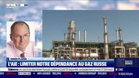 Denis Florin (Lavoisier Conseil) : L'AIE, limiter notre dépendance au gaz russe - 18/03