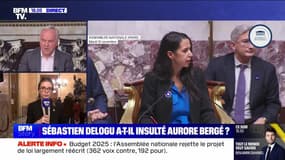 Story 4  : Sébastien Delogu a-t-il insulté Aurore Bergé ?  - 12/11