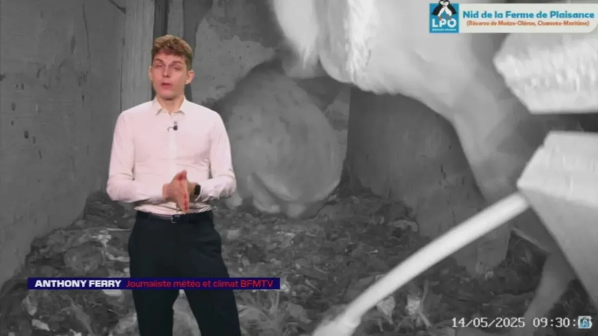placeholder video